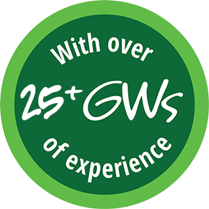 Over 25+ GWs of Experience